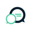 Icon Briefing
