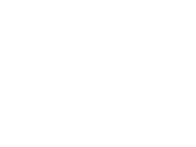 Logo Steile Wand