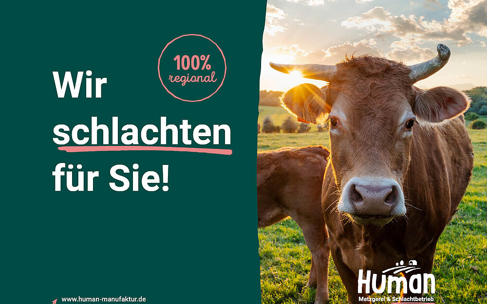 beitragsbild