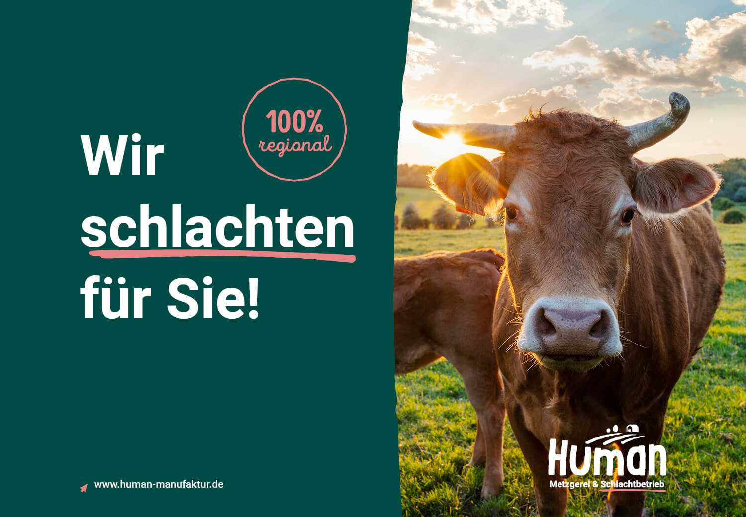 beitragsbild