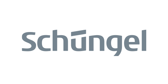 Schüngel metall system